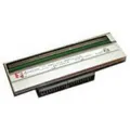 Zebra Druckkopf ZT200, 8 Punkte/mm (203dpi) P1037974-010