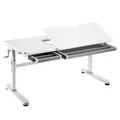 HOKOKinderschreibtisch höhenverstellbar 54-76 cm, Ergo Schreibtisch für Kinder & Jugendliche, 120x60 cm, neigbare Tischplatte mit Schubladen