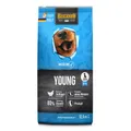 Belcando Baseline Young - proteinreiches Trockenfutter für optimales Wachstum, Trockenfutter für: Hunde
