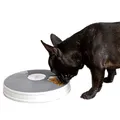 infactory Zeitgesteuerter 6-fach-Katzen- & Hunde-Futterspender, LCD-Display