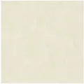 A.S. Création Vliestapete Premium Wall 2, 390353, Einfarbig, 10.05 x 0.53 m, Creme
