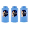 3x Paglieri Felce Azzurra Talco Classico Körperpuder Klassisch Talkum 500g