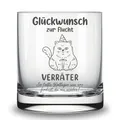 Glas mit Gravur zum Abschied Kollegin Kollege lustiges Geschenk Verabschiedung Abschiedsgeschenk Kollegen Jobwechsel neuer Job Verräter