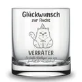 Lasernauten Whiskyglas Glas mit Gravur zum Abschied Kollegin Kollege Geschenk Verabschiedung