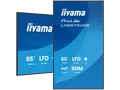 IIYAMA ProLite LH6575UHS-B2AG Monitor (Flat, 64,5 Zoll / 164 cm, UHD 4K)