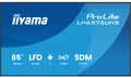 IIYAMA 164.0cm(65") LH6575UHS-B2AG 16:9 3xHDMI+DP+2xUSB (Speditionsversand)