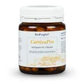 BioProphyl®Hyaluronsäure mit 250 mg Hyaluronsäure, Kupfer und Vitamin C für Knochen, Knorpel, Haut und Gelenke - 60 pflanzliche Kapseln für 2 Monate