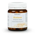 BioProphyl Hyaluron | 250 mg fermentative Hyaluronsäure | 60 Kapseln