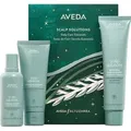 Aveda Scalp Solutions Haarshampoo-Set, 100 ml + Haarspülung, 100 ml + Kopfhaut-Peeling, 150 ml