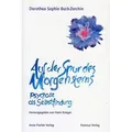 Auf der Spur des Morgensterns