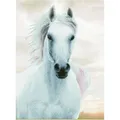 Diamond Dotz Diamond Painting Pferd weiss (DD10.026)