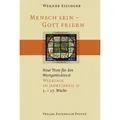 Mensch sein - Gott feiern. Werktage im Jahreskreis 2 von Werner Eizinger / Pustet Friedrich GmbH / Buch