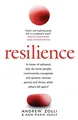 Ann Marie Healy - Resilience   Why Things Bounce Back - Paperback - G245z