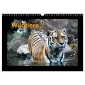 Wildtiere (Wandkalender 2026 DIN A3 quer) CALVENDO Monatskalender von Calvendo/ www.cknof.de/ Claudia Knof/ Www. Cknof. de Knof / Calvendo / Kalender