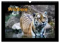 CALVENDO Wandkalender Wildtiere (Wandkalender 2026 DIN A3 quer), CALVENDO Monatskalender