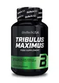 BioTech USA Tribulus Maximus, 90 Tabletten