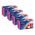 Meßmer Türkischer Bayram Apfel-Feige 4er Pack