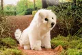 Kösen Kuscheltier Hund Spitz weiß sitzend Stoffhund Plüschhund