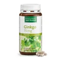 Sanct Bernhard Ginkgo-Kapseln