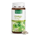 Sanct Bernhard Ginkgo-Kapseln 75 mg | Ginkgo biloba Extrakt | Mit 18,4 mg Flavonglykosiden & 4,9 mg Ginkgolid-Terpenlactonen | 240 Kapseln für 8 Monate
