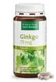 Sanct Bernhard Ginkgo 75 mg 240 Kapseln (165,09 EUR/kg)