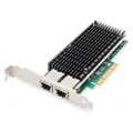 Digitus 10Gbps Dual Port Ethernet Server Adapter (Mini PCI Express) (DN-10163)