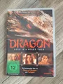Dragon - Love Is a Scary Tale - DVD - sehr guter Zustand