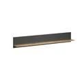 trendteam Wandboard Regal Wandregal Hängeregal Esteban Anthrazit 167x25x18 cm