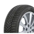 Winterreifen DUNLOP Winter 205/55R16 91H