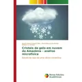 Novas Edicioes Academicas Cristais de gelo em nuvem da Amazônia - análise microfísica (Daniel Barros de Freitas, Mucio Costa Campos Filho, Mairton C. Romeu, 2015) (55598797)