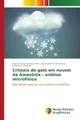 Mucio Costa Campos Filho (u. a.) | Cristais de gelo em nuvem da Amazônia -...