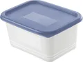Rotho Gefrierdosen-Set Domino 4 x 0,75 l horizon blau