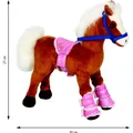 Coppenrath Pferd Holly Pferdefreunde (49792292)
