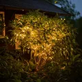 esotec Solar Lichterkette mit 60 warmweißen LEDs 6 Meter wetterfest 102168