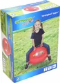 VEDES Großhandel GmbH - Ware Outdoor active Sprungball Regenbogen, #60cm