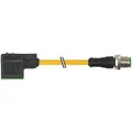 Murrelektronik M12-Stecker 7000-40881-2260200