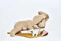 Käthe Kruse Holly Hase I Kleine Plüsch-Hasen-Freundin für Kinder ab 0 Jahre I Waschmaschinenfestes Baumwollfrottee-Kuscheltier inkl. Mini-Püppchen