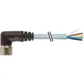 Murrelektronik M23 Buchse gewinkelt 12p. 7000-23151-3621000