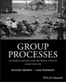 Group Processes, Rupert Brown