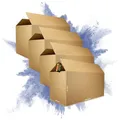 PROREGAL 4x Versandkarton 2-wellig | LxBxH 1200 x 600 x 600 mm | Mit Höhenriller & Belastbar bis 30 kg | Braun | Große Pappkiste Faltkarton Karton Paket für Versand mit DHL DPD GLS UPS Hermes