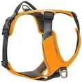 Wolters Hunde-Geschirr Geschirr Active Pro Comfort orange/anthrazit Größe: 3 Verstellmöglichkeit: 50 - 57,5 cm