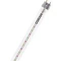 OSRAM LED-Pflanzenlampe LED TUBE T8 18 EM FLUORA 600 mm 6.6W 604.00 mm G13 6.6 W Warmweiß Röhrenform 1 St.