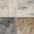 BOXTEC Bodenfliese FLORA NATURE 16.5 x 16.5 Feinsteinzeug Wand- und Bodenfliese, Feinsteinzeug 16.5x16.5, Braun