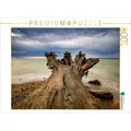 CALVENDO Puzzle CALVENDO Puzzle Baumstamm an der Ostseeküste 1000 Teile Lege-Größe 64 x 48 cm Foto-Puzzle Bild von Rico Ködder, 1000 Puzzleteile