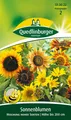 Quedlinburger Sonnenblumen Mischung hoher Sorten - Blumensamen