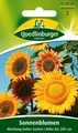 SONNENBLUMEN "MISCHUNG HOHER SORTEN"  Quedlinburger  Saatgut