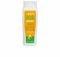 Cantu Haarspülung Avocado Hydrating Silicone Free 400ml