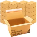 Konzept 11 - Versandkarton 30x20x15cm Set 20 Stk. Faltkartons mit Deckel Selbstklebend, Kleine Kartons zum Verschicken, Verpackung, Verschiedene Größe