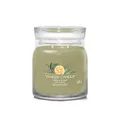 Yankee Candle Duftkerze Aromatic candle Signature glass medium Sage & Citrus 368 g
