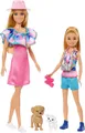 Box Gebrochen Barbie Stacie Rescue Box 2 Puppen 2 Hundewelpen Katze Mattel HRM09